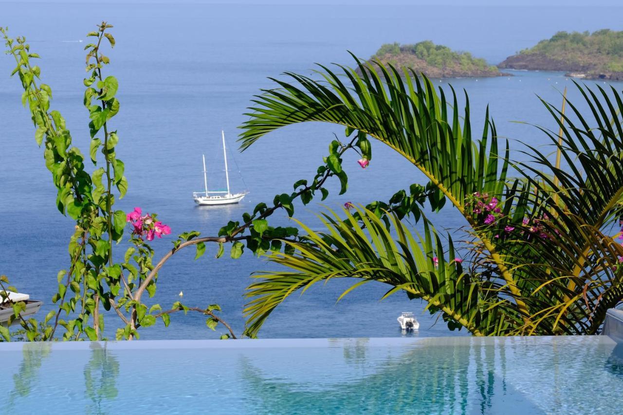 Sunset Palm - Villa Creole Avec Piscine Face Au Coucher De Soleil Et A La Reserve Cousteau Буянт Екстер'єр фото