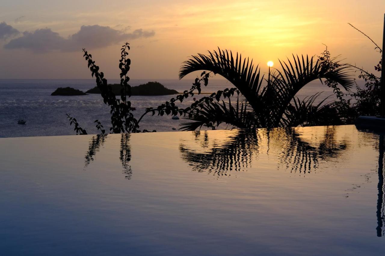 Sunset Palm - Villa Creole Avec Piscine Face Au Coucher De Soleil Et A La Reserve Cousteau Буянт Екстер'єр фото